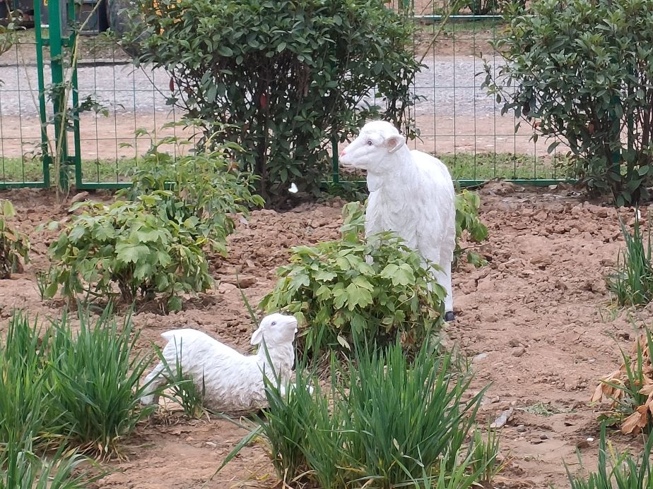 因过竹院逢僧话偷得浮生半日闲,偷得浮生半日闲下一句什么意思
