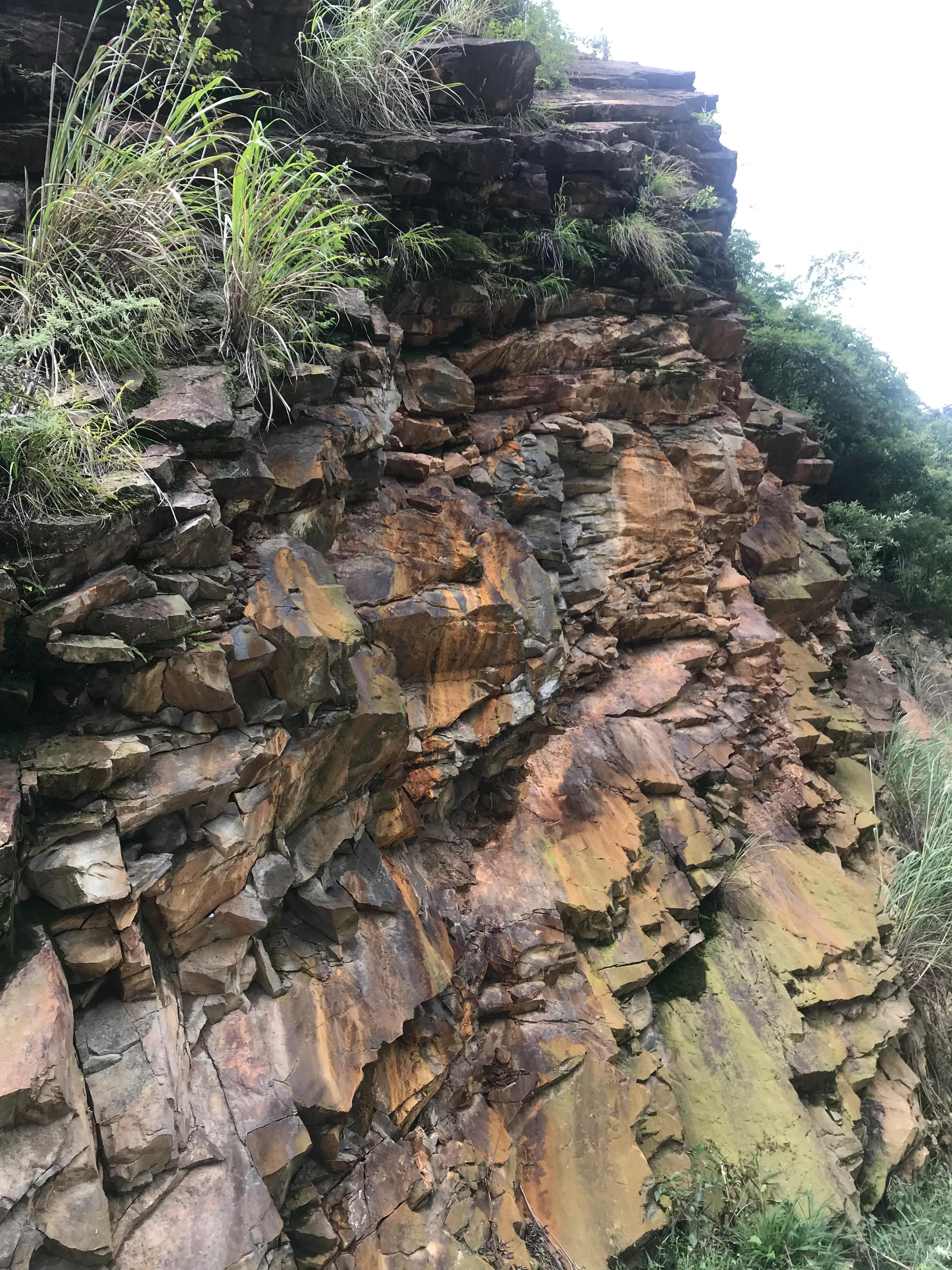 山远近路横斜读音,山远近路横斜青旗沽酒有人家意思