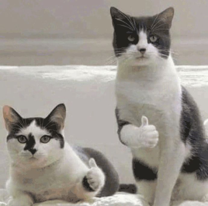 10款夏季清凉防晒好物推荐,错过时机再等一年