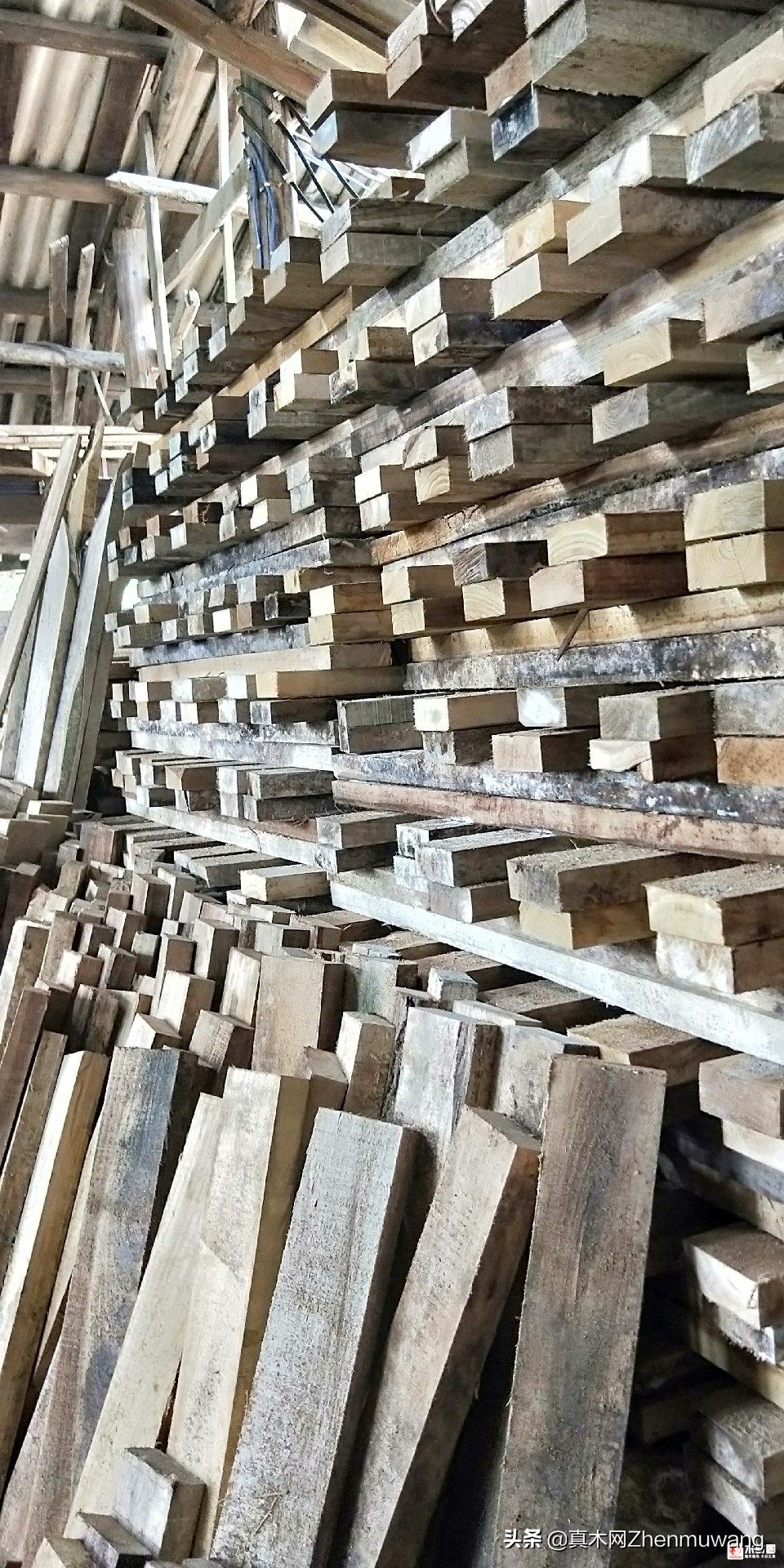 鑺滄箹鑴氬ⅸ瀹炴湪鎵樼洏瀹氬埗,鑺滄箹鑴氬ⅸ瀹炴湪鎵樼洏鎵归噺瀹氬埗