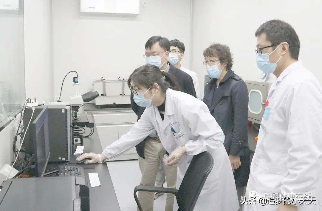 阜阳试管婴儿成功,阜阳市人民医院试管婴儿