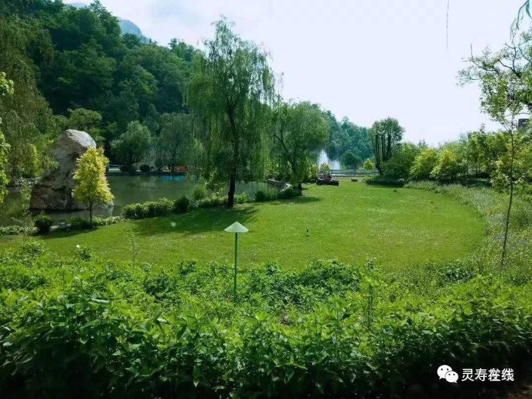 原创：中山诗韵——灵寿在线第54期