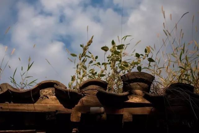 北京女孩拆迁后的自述,一个北京姑娘移民