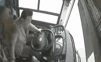 骚扰公交司机后续,骚扰司机怎么处罚