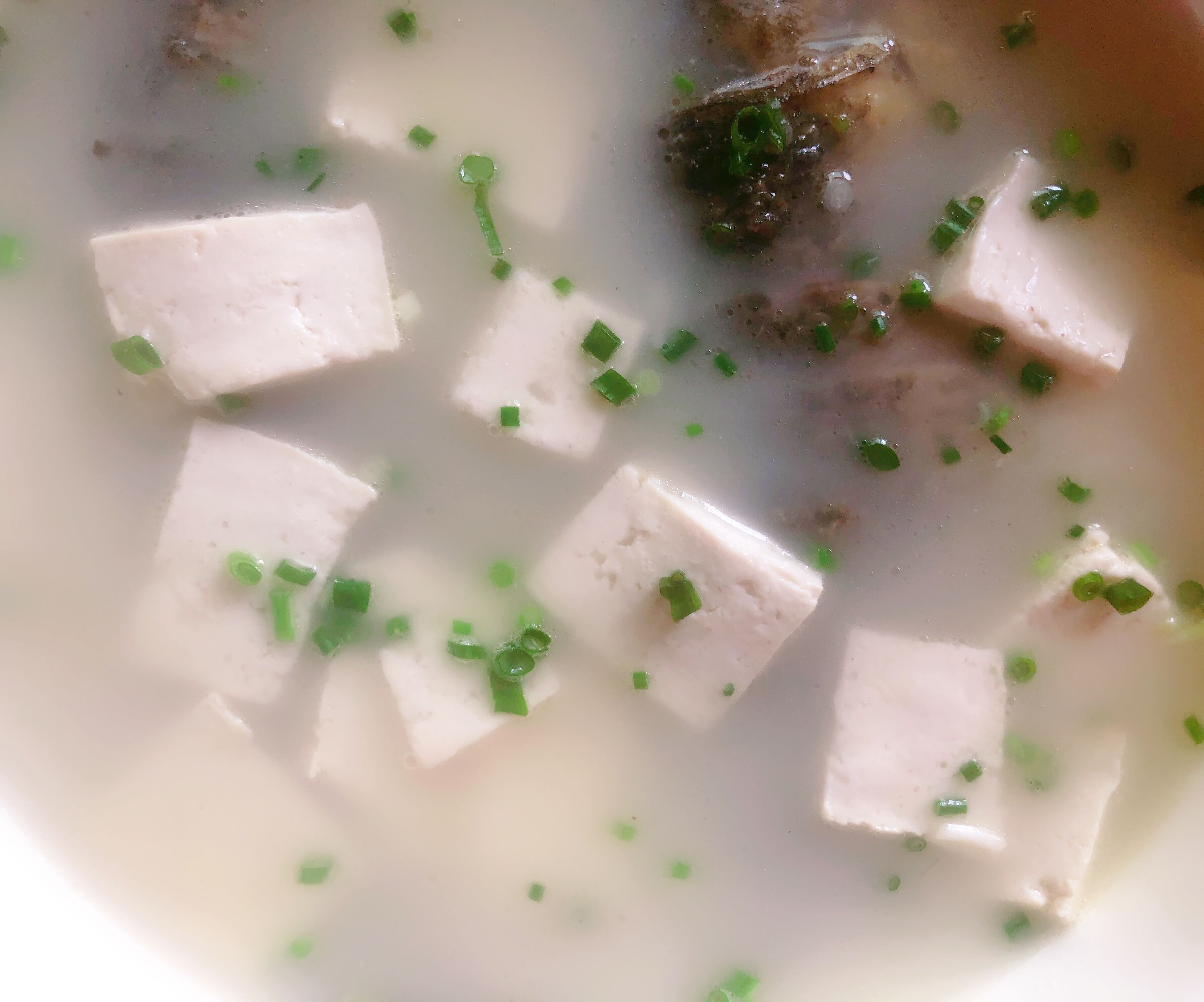 鲫鱼汤熬不白,教你一招补救,几分钟就能熬成奶白色