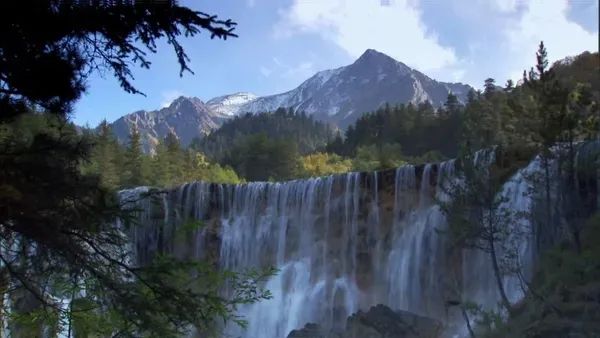 假期儿童纪录片推荐经典,青少年假期推荐纪录片