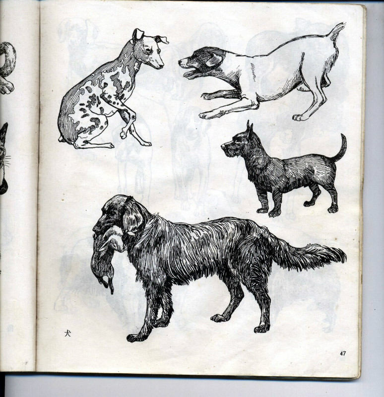 一百幅动物素描,近百幅动物画