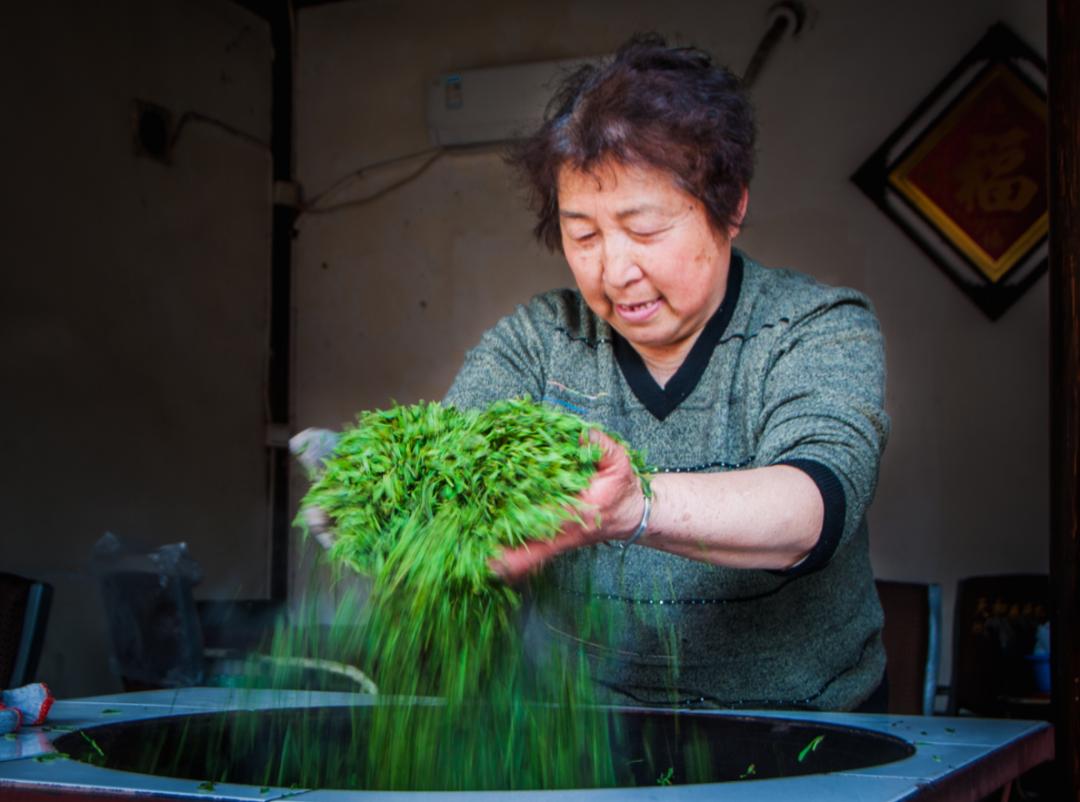 碧螺春红茶上市时间表图片,碧螺春明前茶什么时间上市