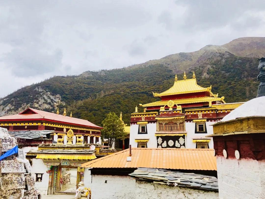 稻城亚丁春天视频,稻城亚丁春天风景