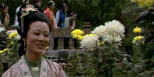 红楼梦尤氏人物分析,红楼梦尤氏装病原因