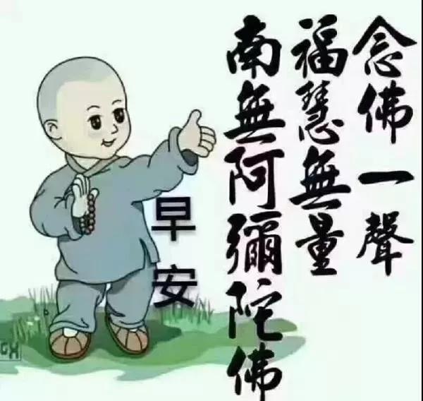 心灵的伙伴是什么,心灵的伙伴是温暖源泉