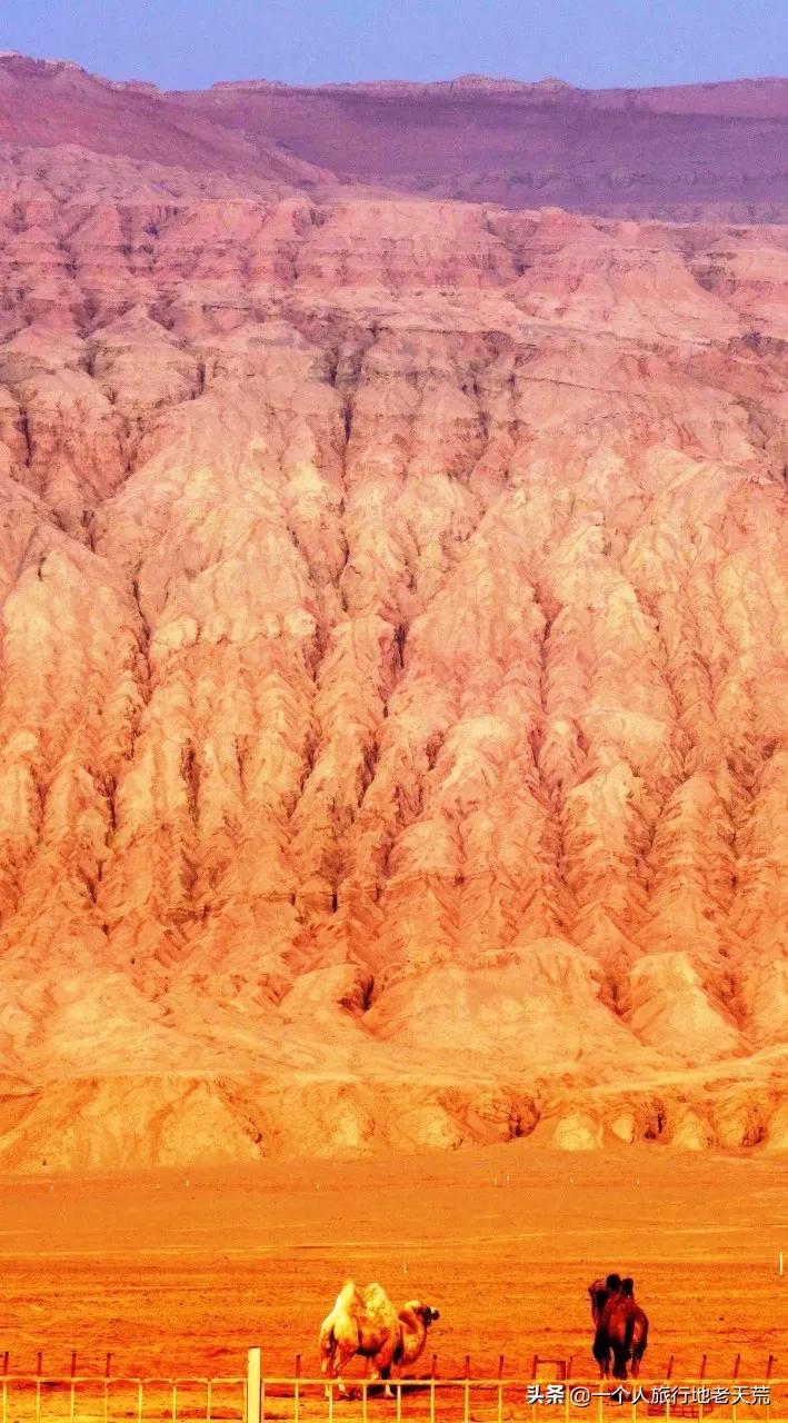 如果你不了解现实你就去看历史,如果你不了解历史就无法展望未来