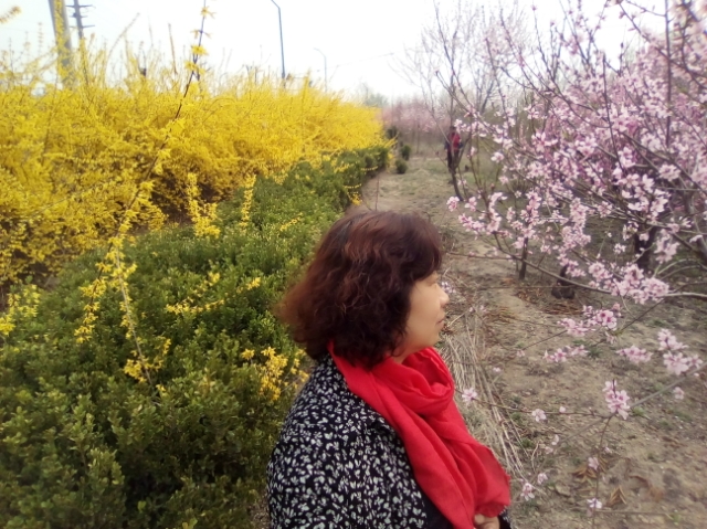 搁浅记忆原创,搁浅记忆英文