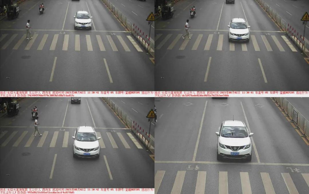 于都礼让行人上哪里举报,于都五中不礼让行人抓拍