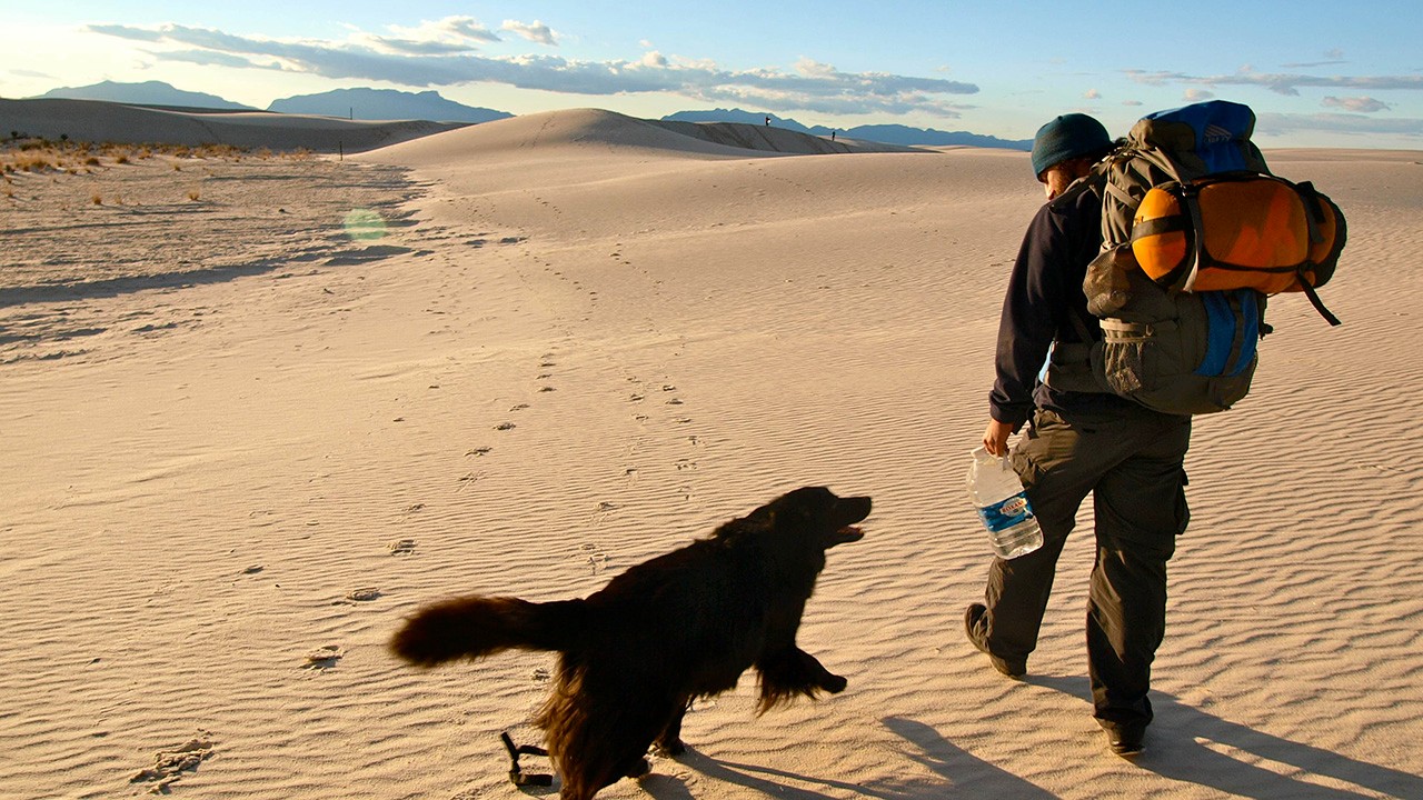 沙漠迷路解决方法,沙漠里迷路了应该怎么走出去