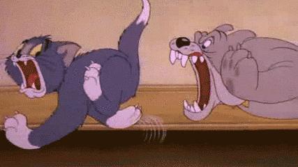 被猫狗咬伤如何正确处理,被猫狗咬伤十天了还能打针吗