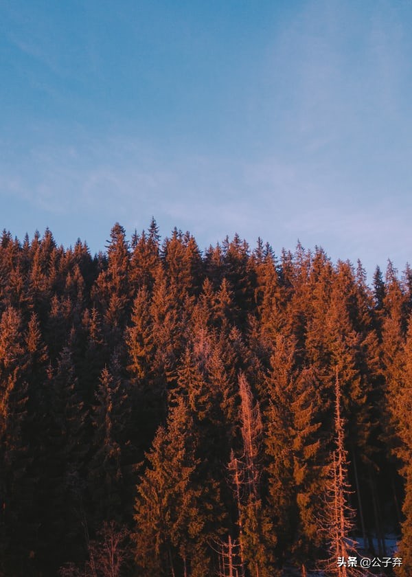 帕斯卡学园第二十七章,帕斯卡学园小说在线阅读