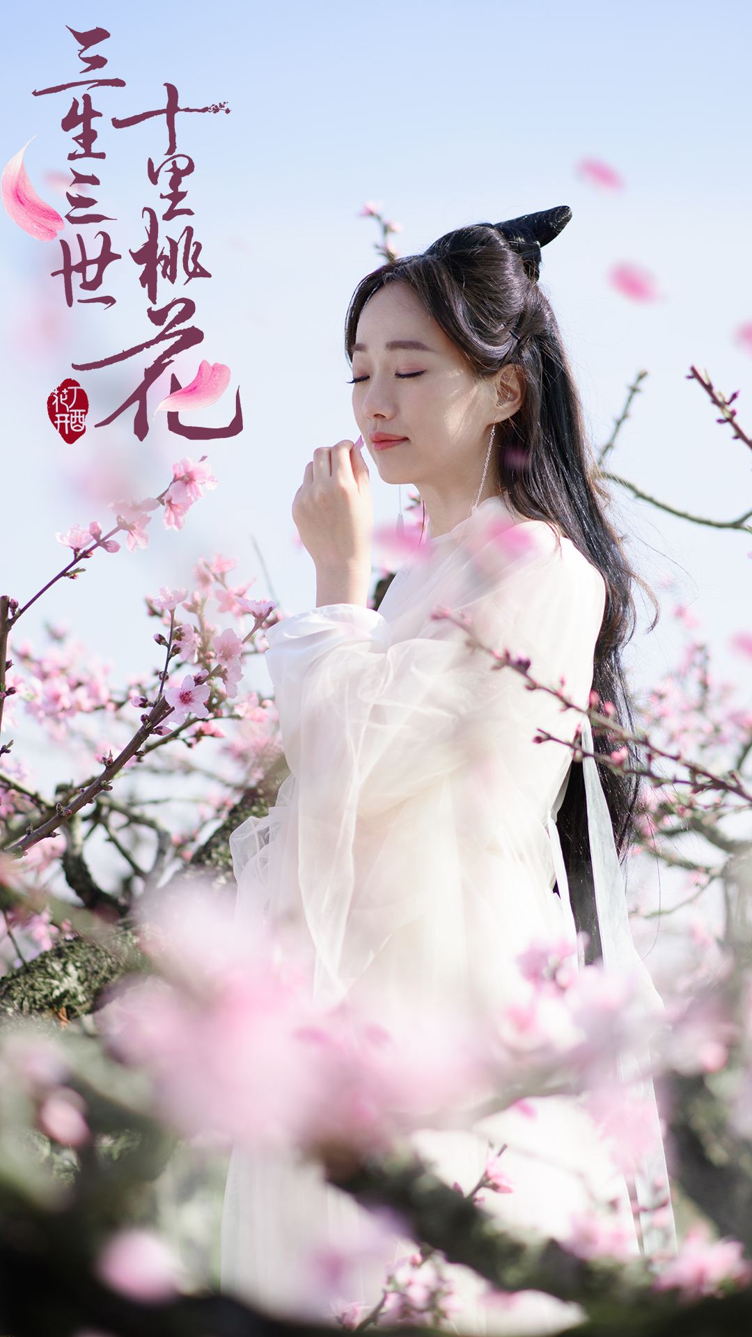 野草诗社全集视频,野草诗社简介