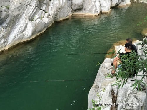 走钓守钓,走钓渔护
