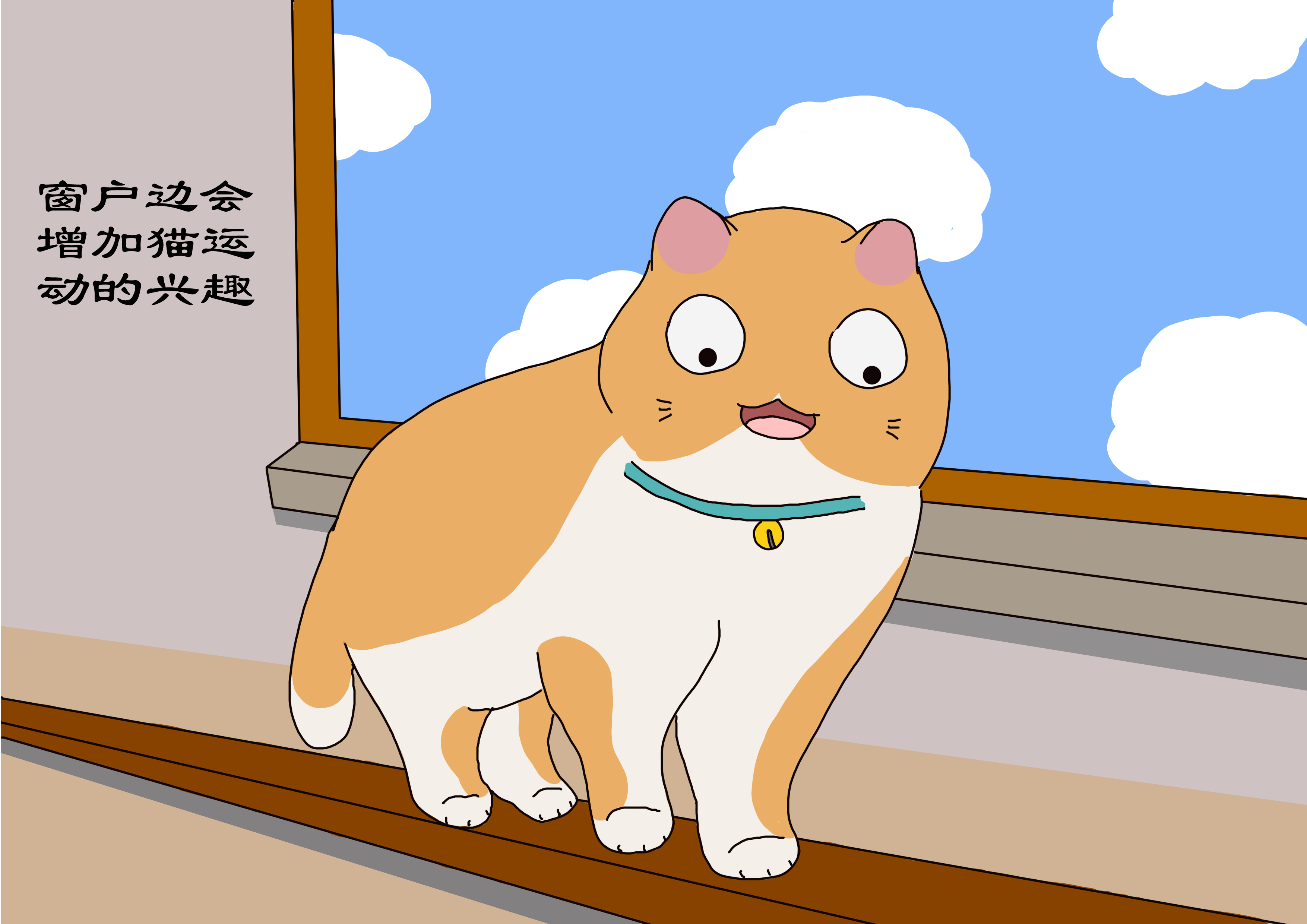 铲屎官宅在家,铲屎官如何照顾猫崽