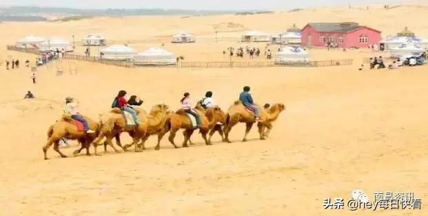 金三银四辞职信,金三银四辞职季