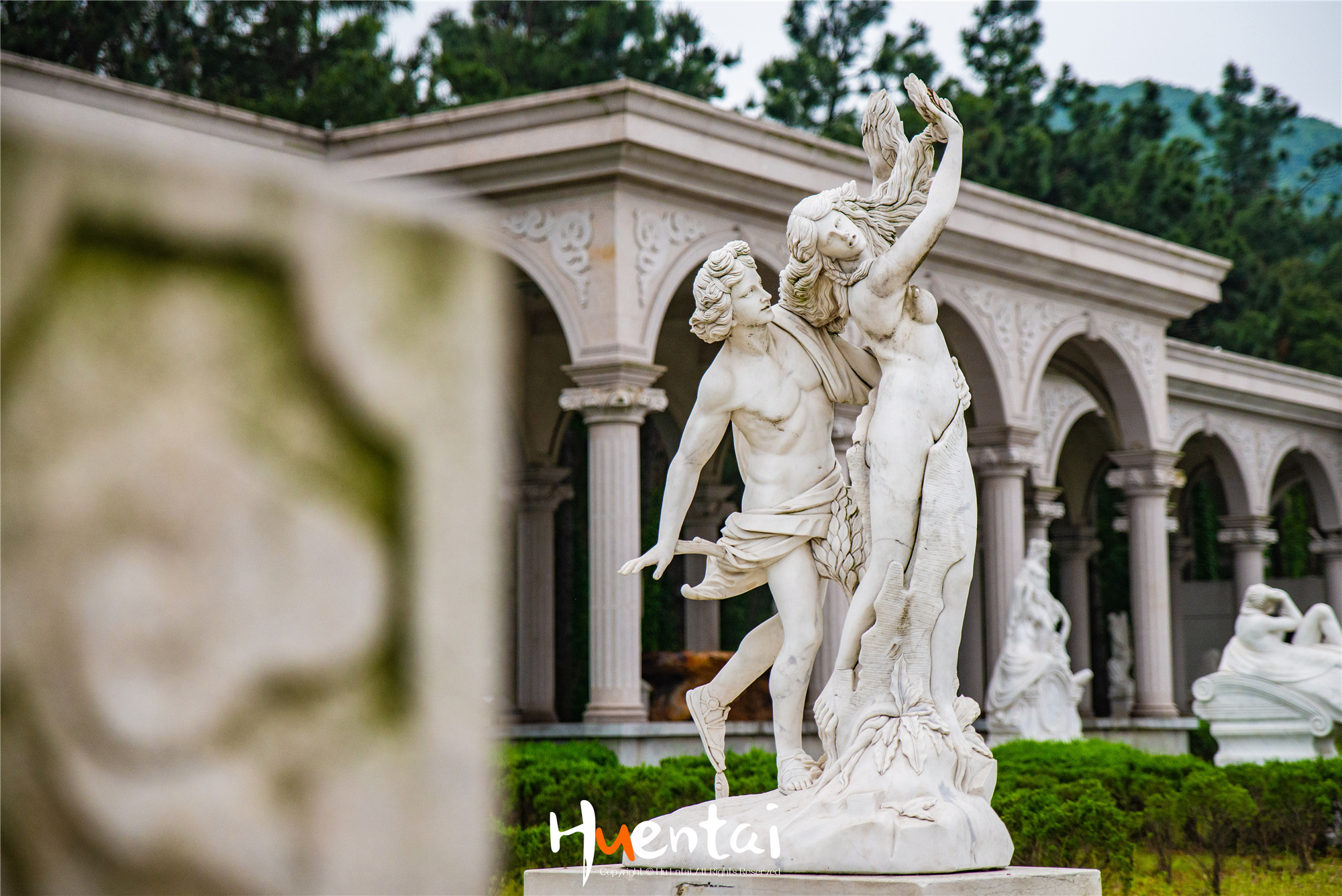 住星空帐篷吃土灶饭，看孔雀开屏，这个520就要来点不一样