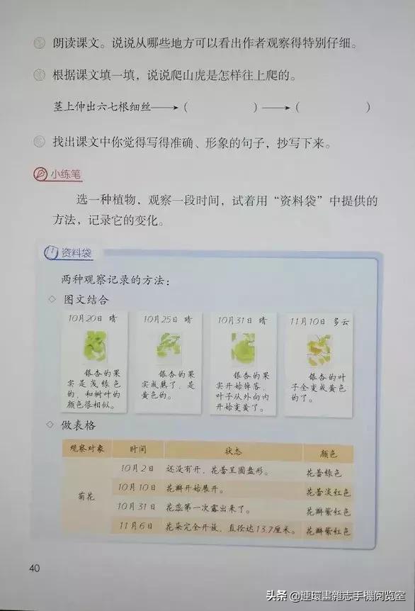 四年级上册语文电子课本,四年级上册语文课本内容