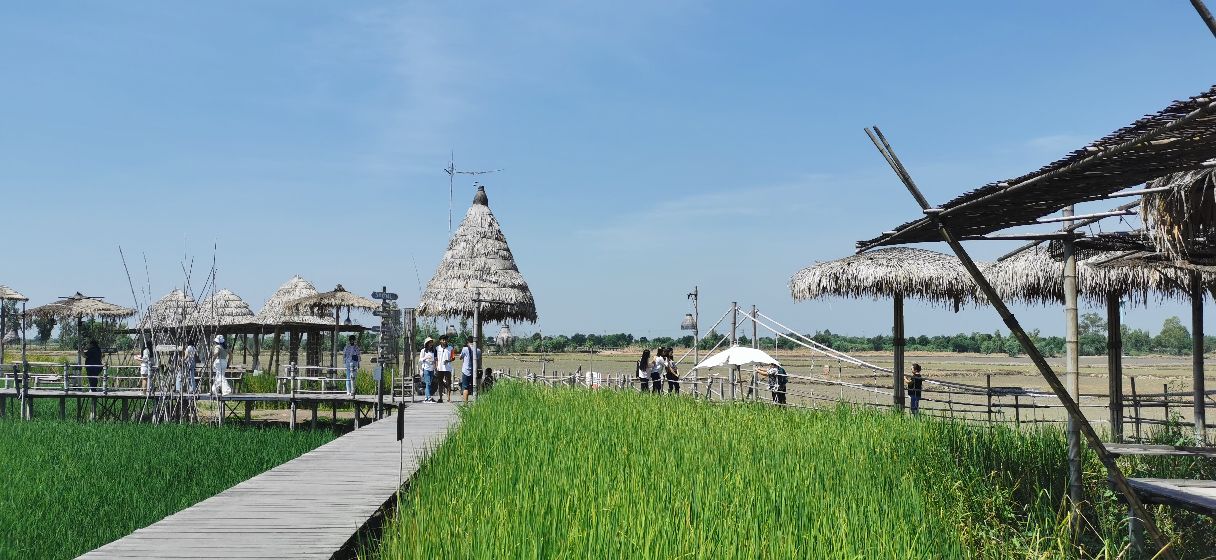 泰国北部的稻田咖啡,泰国大城府稻田咖啡厅