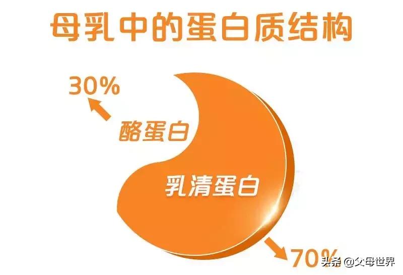 鎺㈢濂剁矇,鎺㈢浼婂埄鐗涘ザ