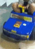 这两位大哥真牛，不知这树还能让他们爽多久