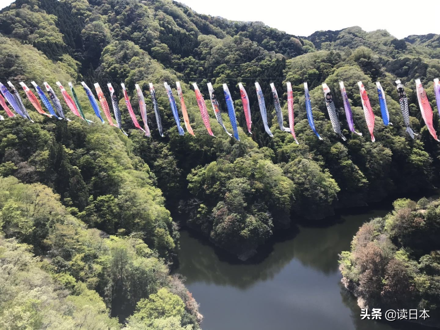 连续13年被评为最具幸福感城市,茨城城市