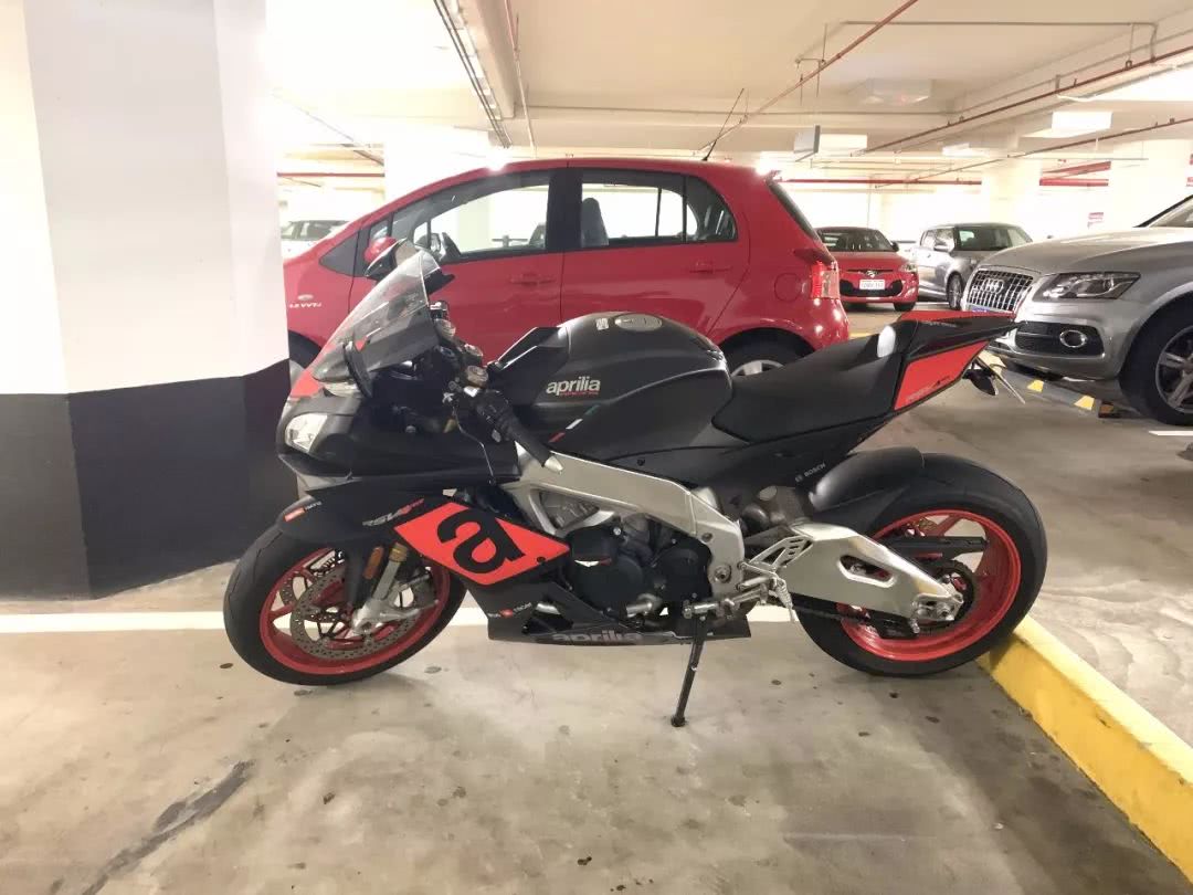 这地方是男人天堂,我们的大宝马也怕了