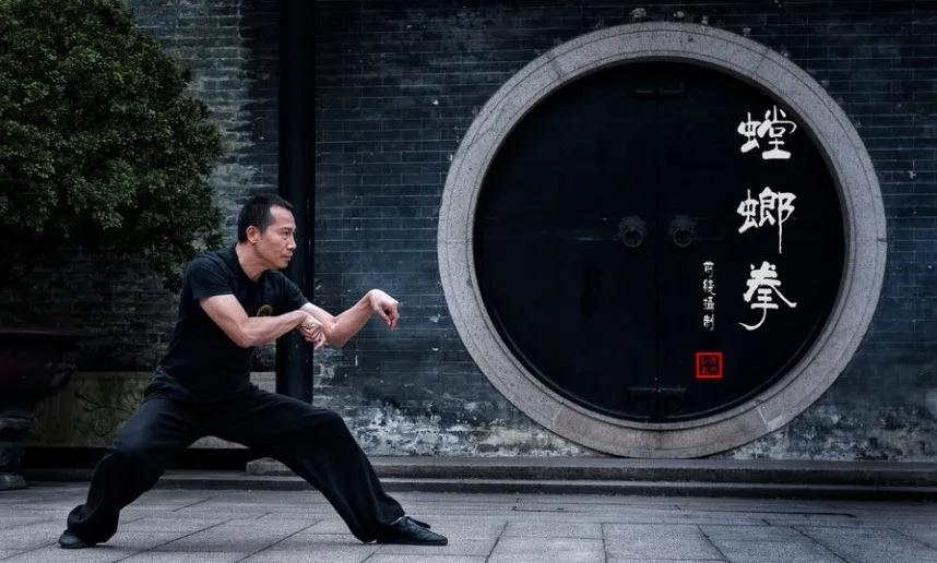 螳螂拳厉害之处在哪,现实中的螳螂拳的杀伤力多强