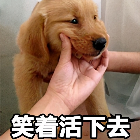 如果镜子对着床有什么好办法挡住,卧室梳妆台镜子对着床怎么办