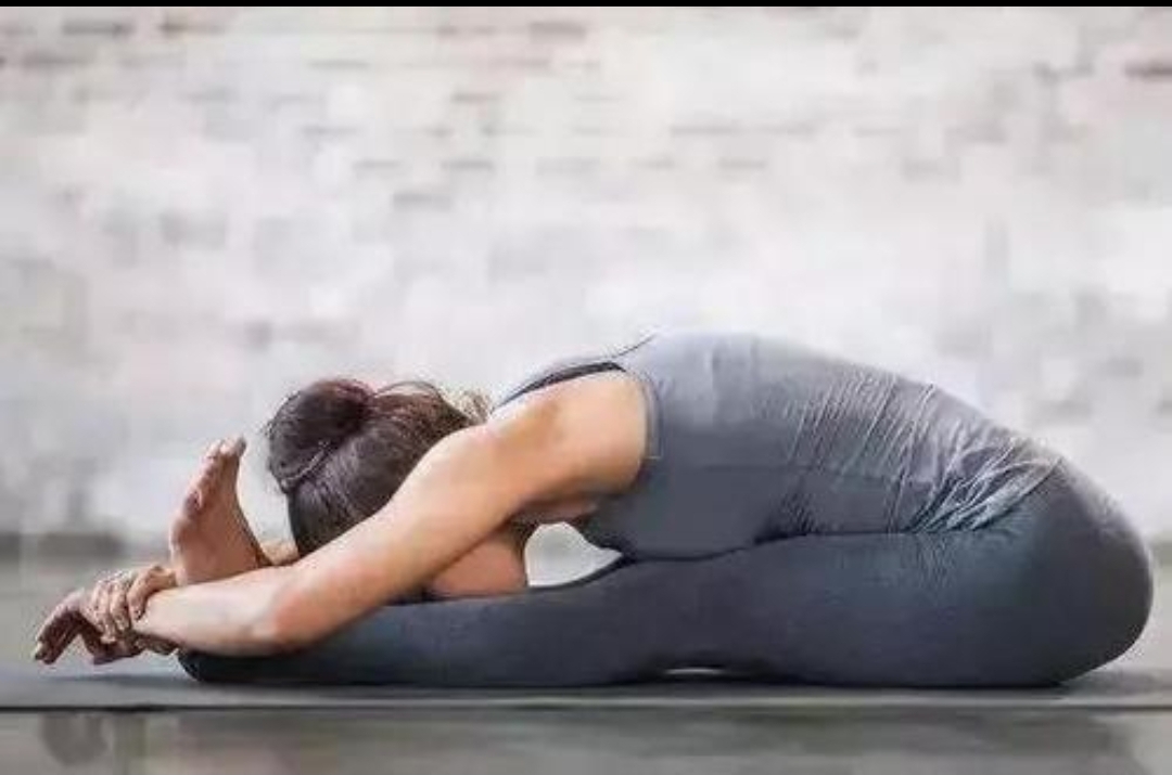 前屈组合练习,立位体前屈动作示范