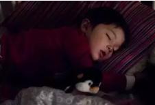 孩子突然恐惧是什么原因,孩子夜间害怕是什么原因