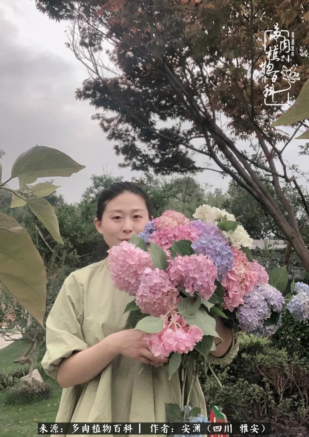 小仙女的阳台多肉,绝美多肉阳台