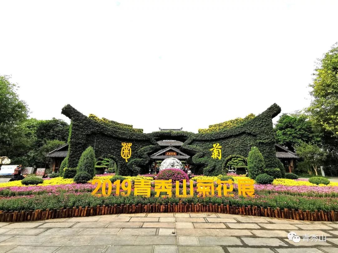 自拍达人全景,南宁自拍拍照博主