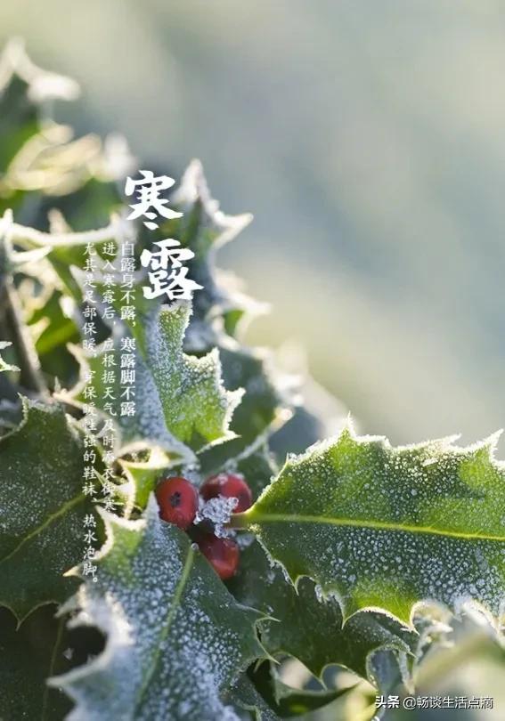 处暑不露身寒露不露脚是什么意思,白露不露肉寒露不露脚