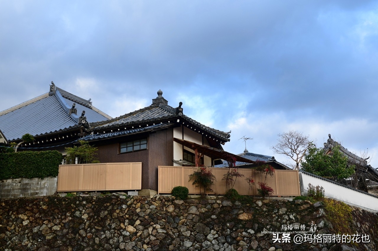 萁田森林公园和大阪的省钱之旅|行摄日本