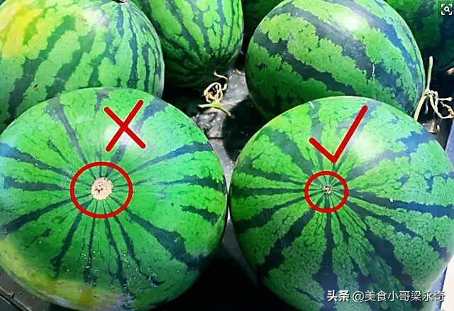 挑选西瓜的五大诀窍,如何挑选西瓜的正确方法