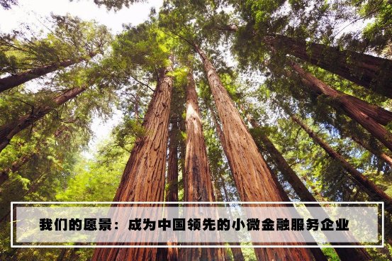 中安信业完整视频,中安信业怎么样