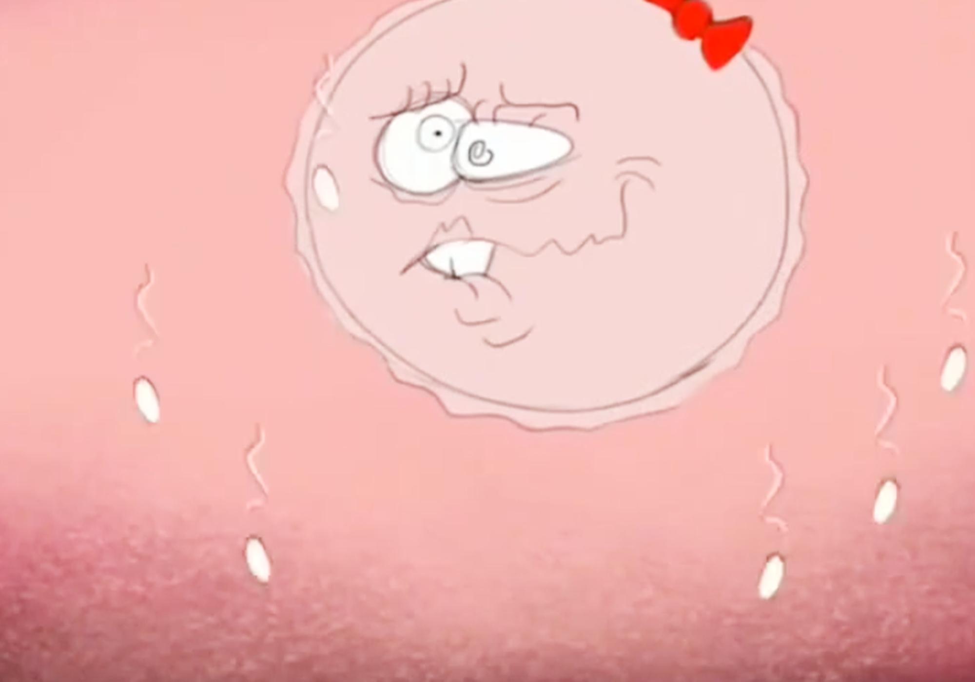 宝妈吃了避孕药会发生啥？动画模拟全过程，精子：我太难了