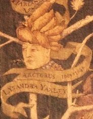 哈利波特hp设定,哈利波特hp解析