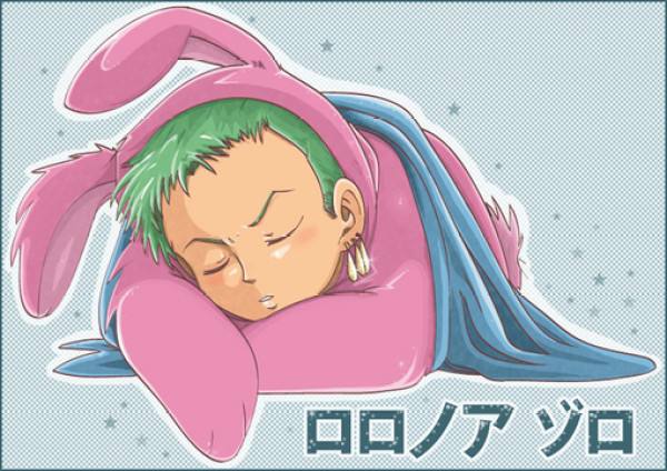 还记得海盗帽吗,草帽海贼团所有成员合照