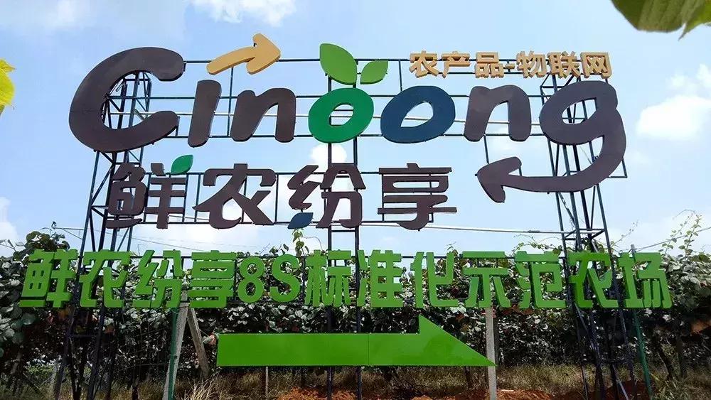 怎么经营果园才能盈利,果园经营模式及配送