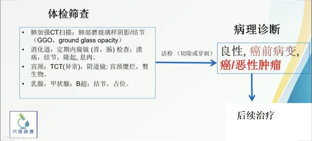 显微镜下的万花世界——走进病理学
