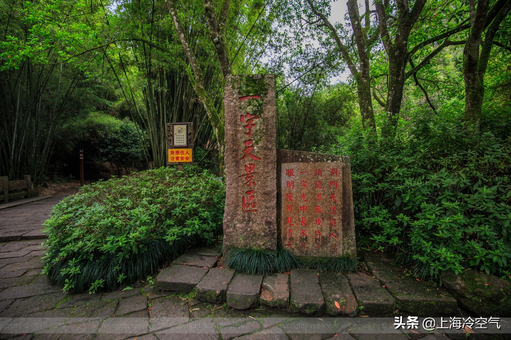 有去无回上半句,有去无回上一句