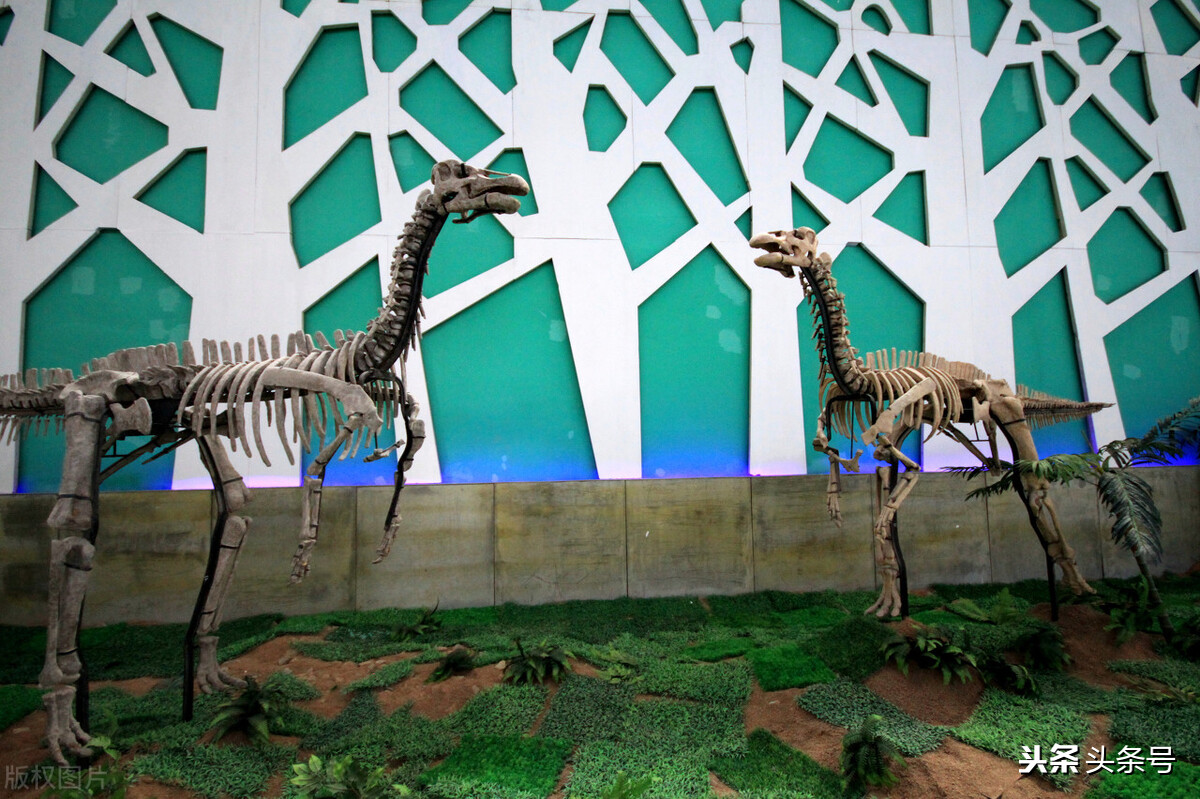 潍坊市刚入编教师待遇,潍坊各区教师待遇排行