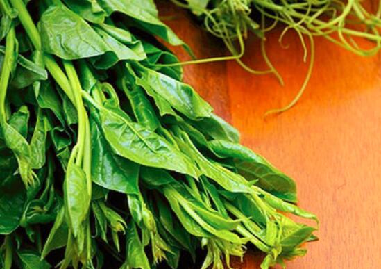 叶菜品类表,叶菜类一览表